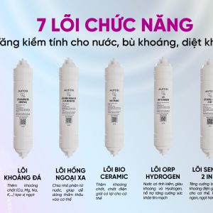 lõi chức năng mutosi